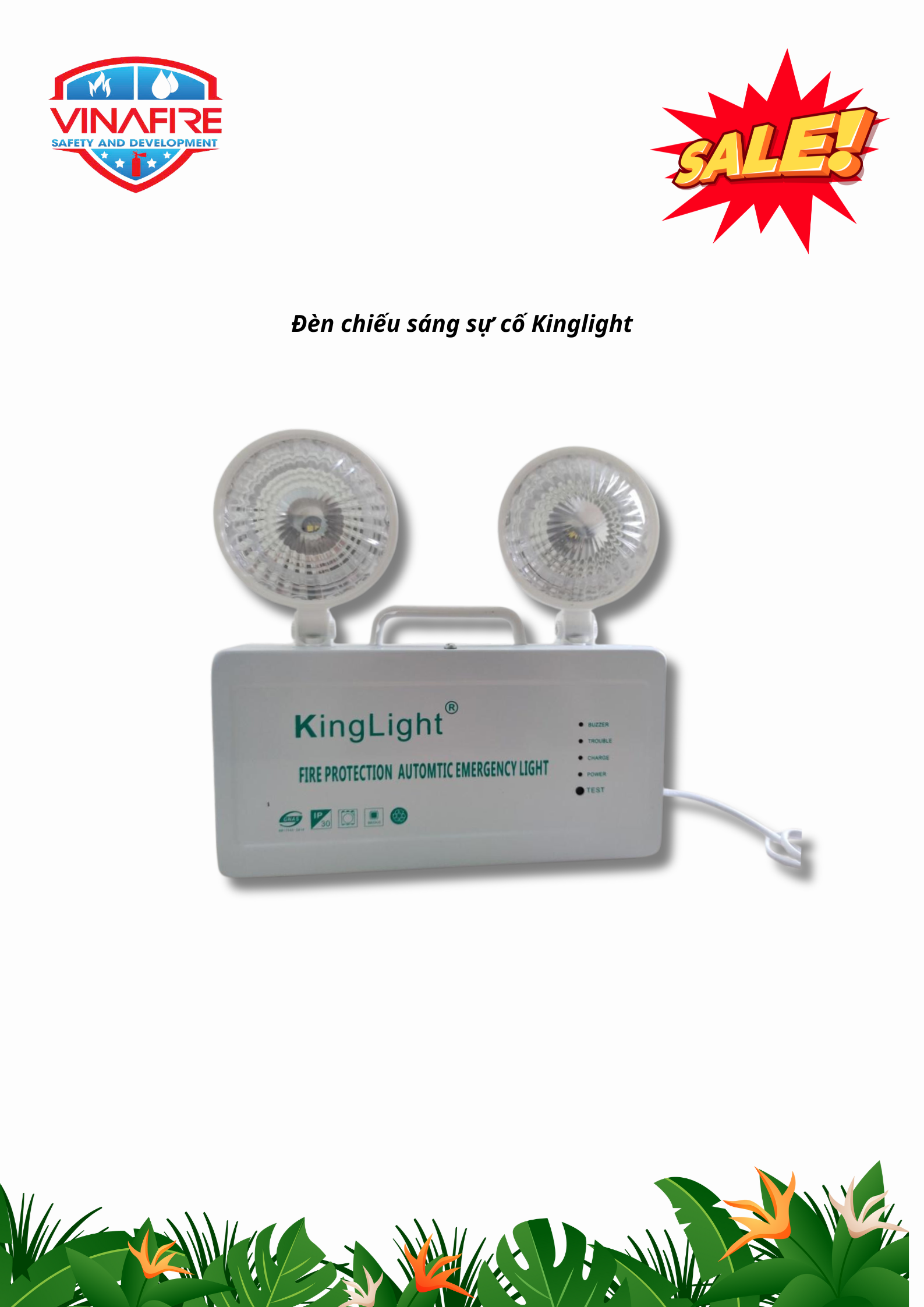 M KINGLIGH