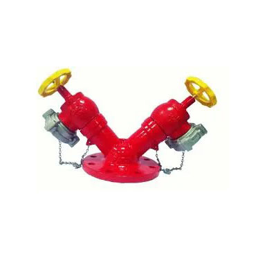 dau-tru-chua-chay-tomoken-2-cua-dn65-x-dn100-tmk-265-001